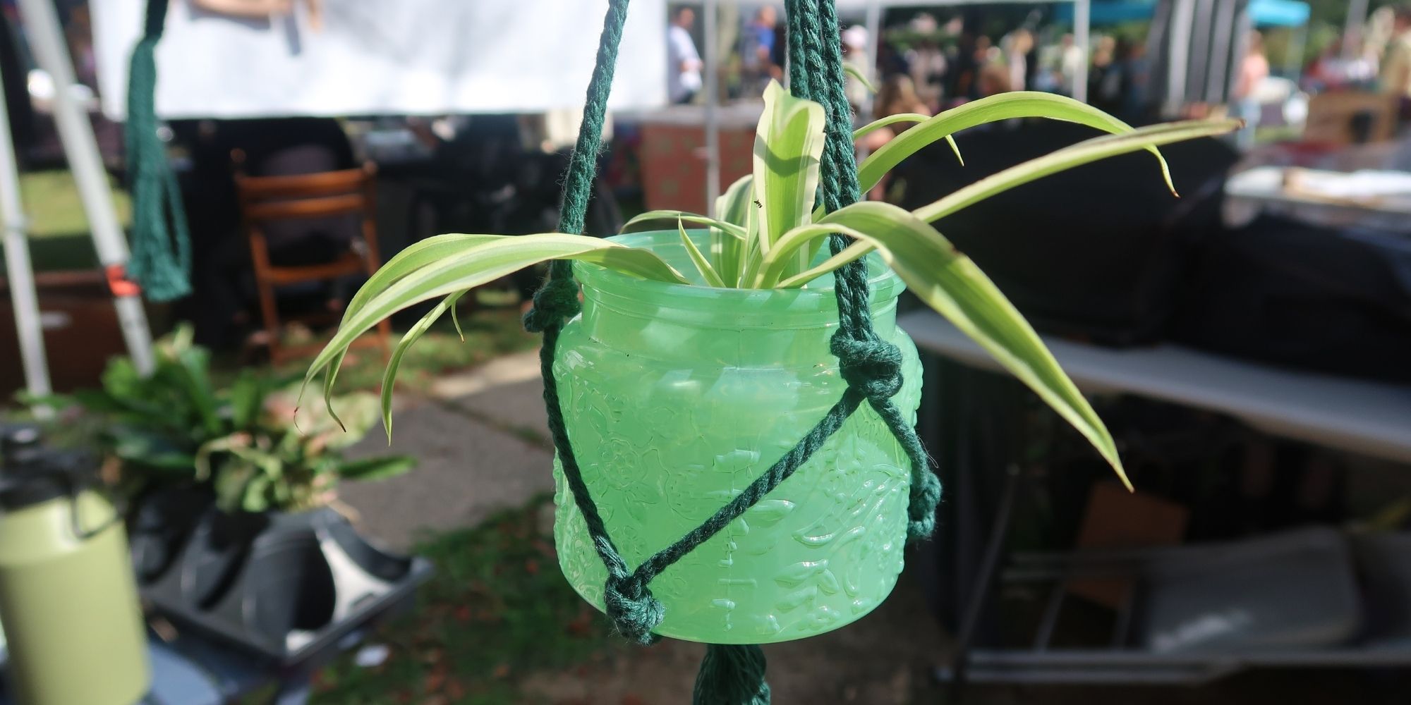 Market operations experience