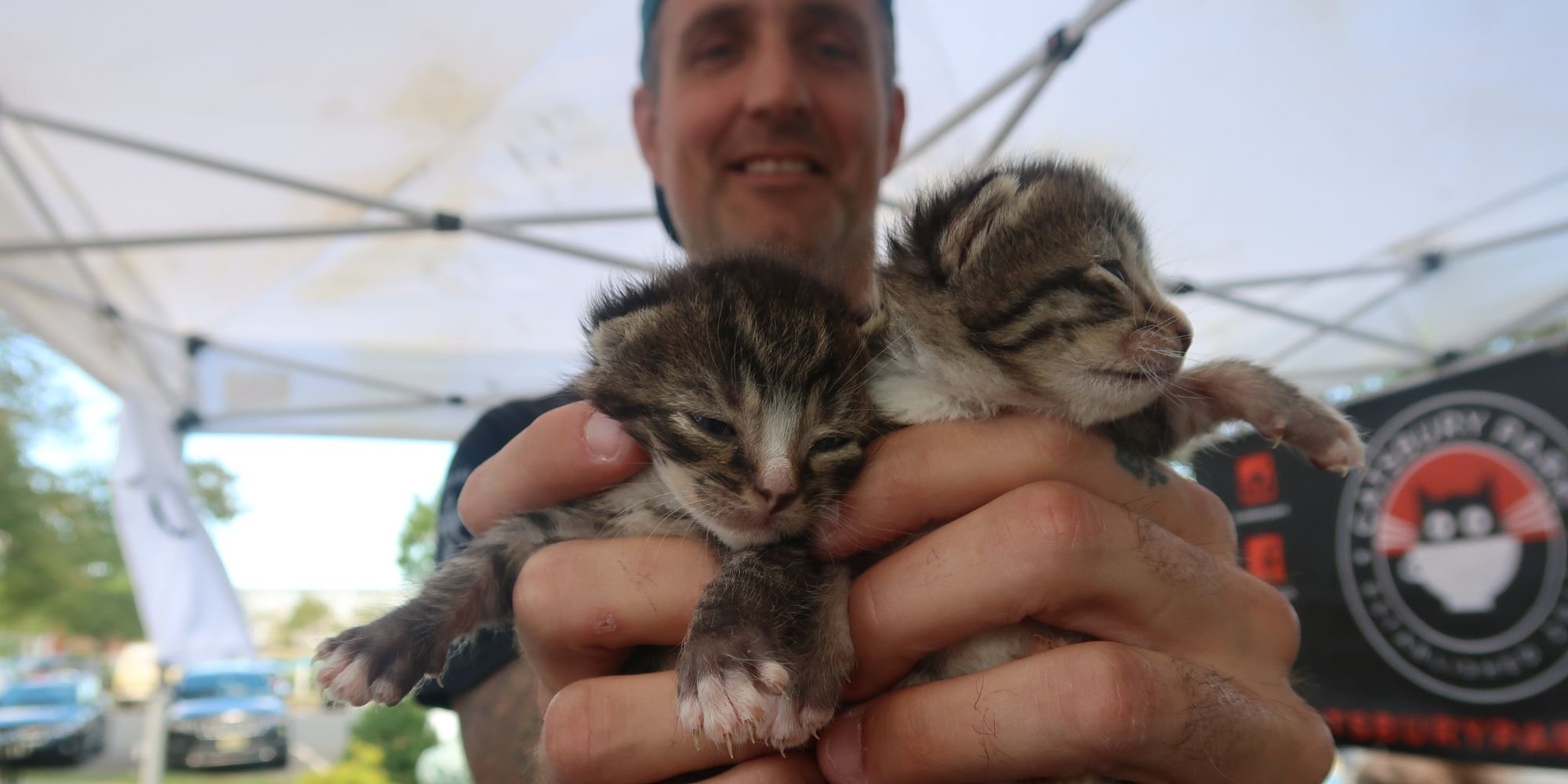 Market operations experience